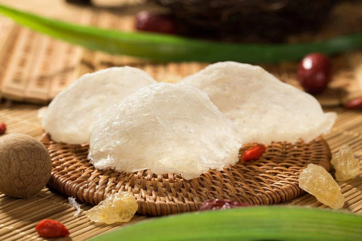 1 lạng yến bao nhiêu tiền