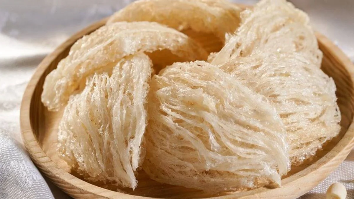 lưu ý khi chưng tổ yến tươi