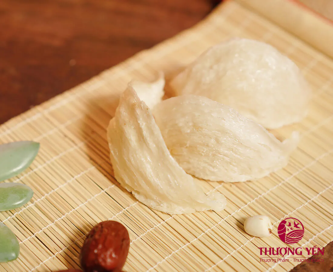 tổ yến thượng hạng