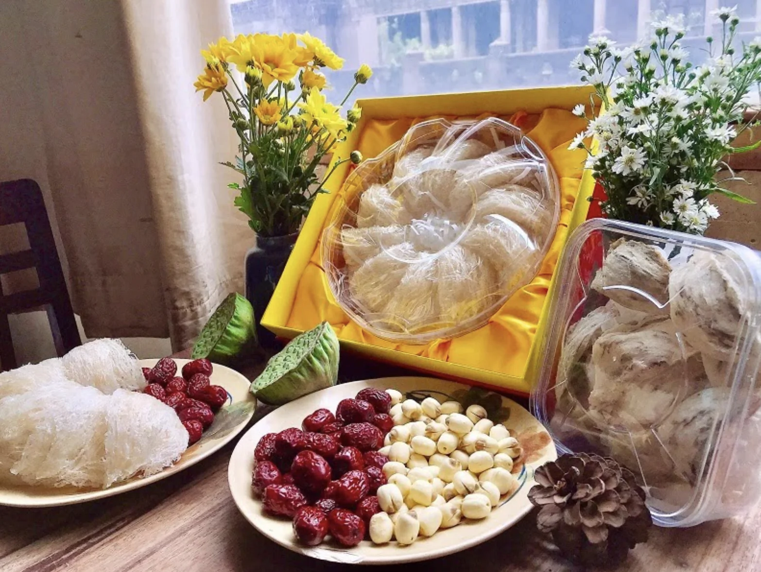yến sào thiên nhiên