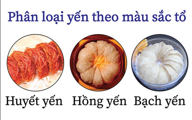 huyết yến là gì