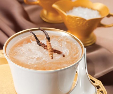 nước yến đông trùng hạ thảo