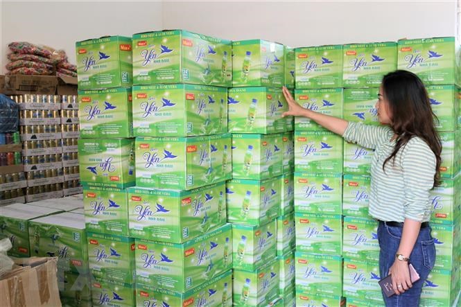 Nước yến nha đam Tingco chai 500ml